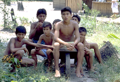 Ind�genas y mestizos en Brasil